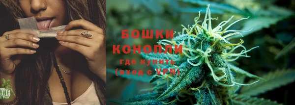 крисы Зерноград