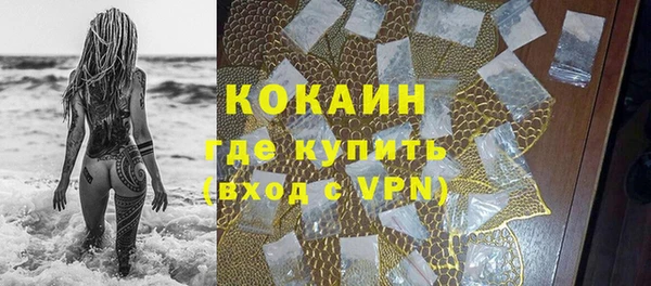 крисы Зерноград