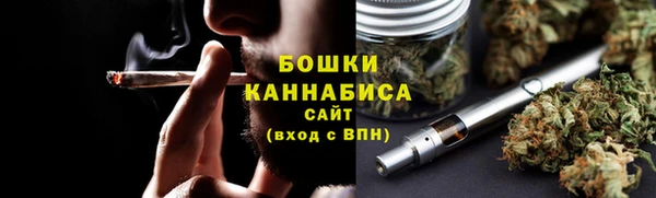 крисы Зерноград