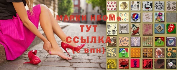 крисы Зерноград