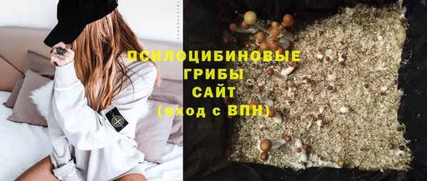МДПВ Зеленодольск
