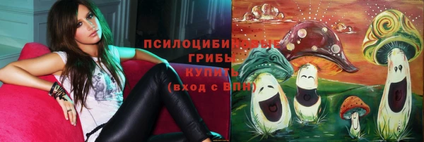 крисы Зерноград