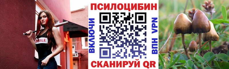 Купить где  Ивдель  Галлюциногенные грибы GOLDEN TEACHER 